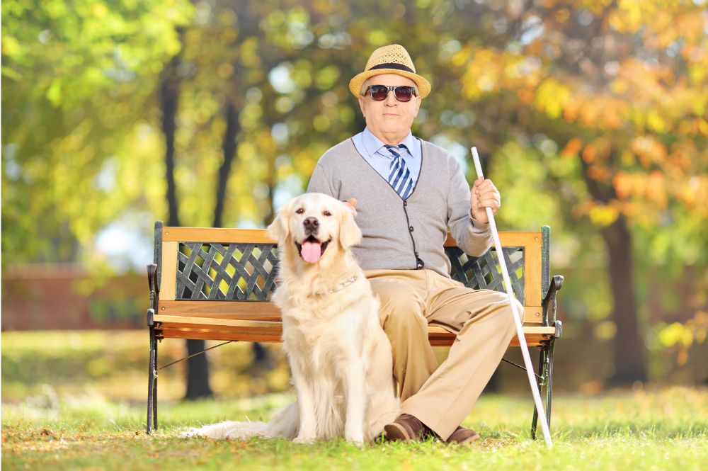 An older, blind gentleman with his Golden Retriever enjoys an afternoon in the park as one of the activities for the blind elderly that he enjoys.